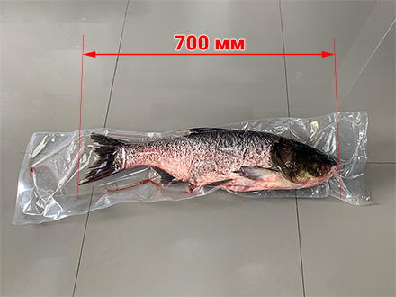 Пакування риби довжиною 700 мм